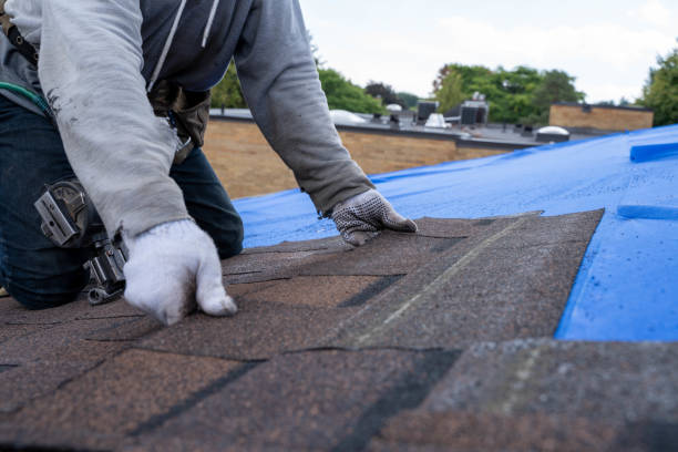 Best Storm Damage Roof Repair  in Pearl, MS